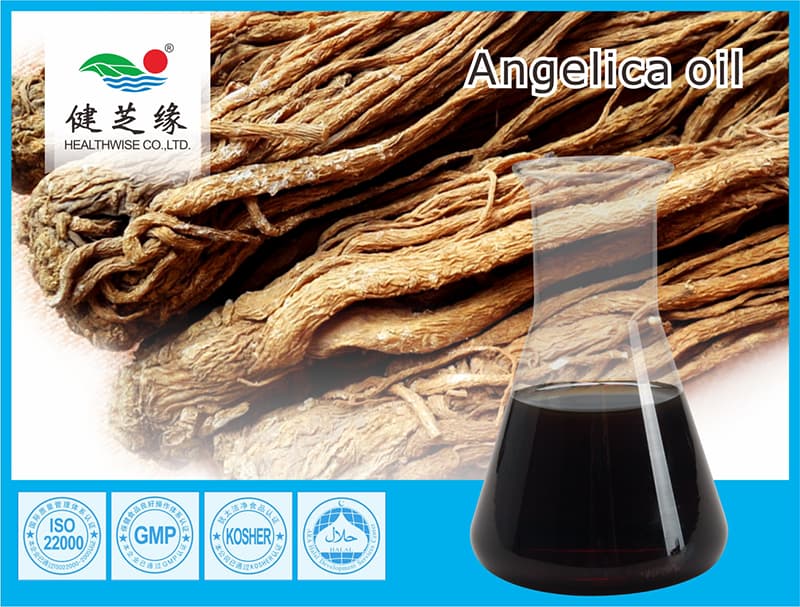 Angelica Root Essential Oil angelica archangelica root oil