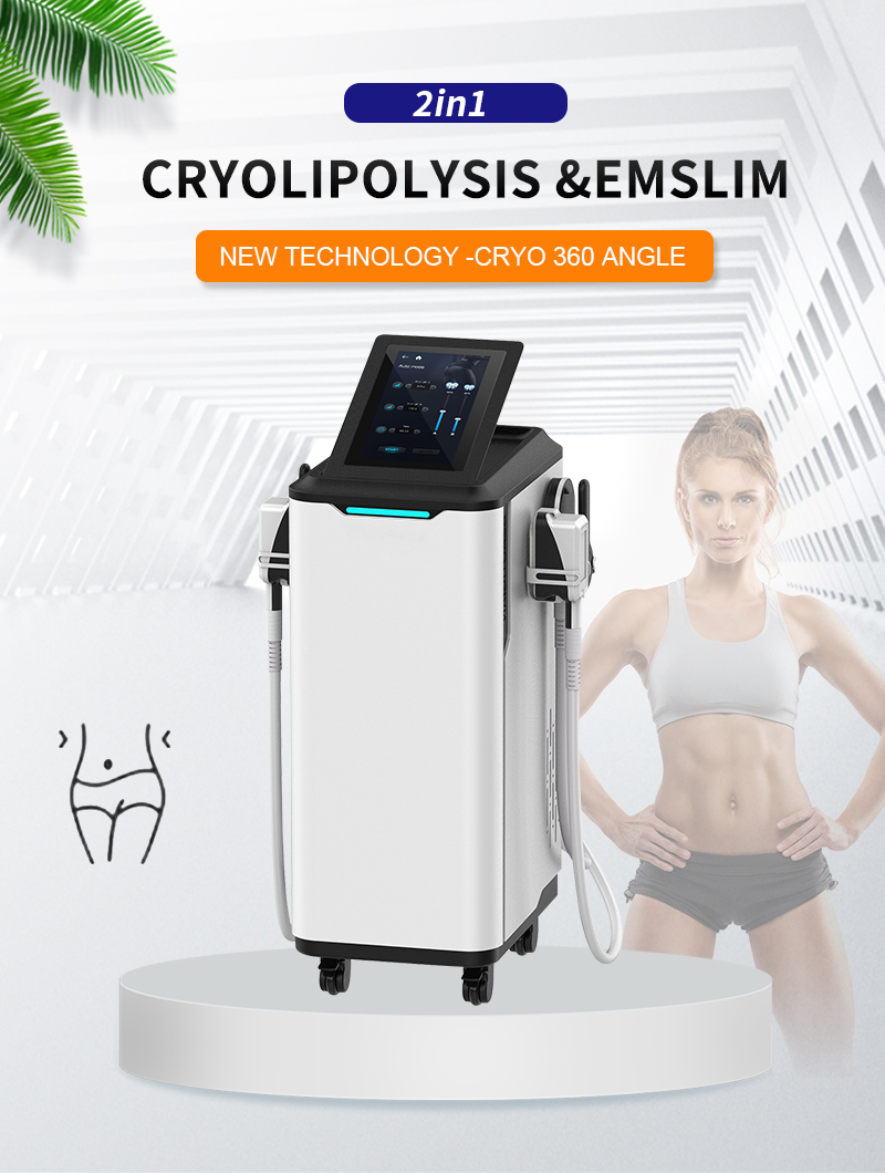 2 in 1 HIEMTCryolipolysis Innovative Machine for Hot Sale Four Handles 360 degree Cooling Electromagnetic Muscle Gain S