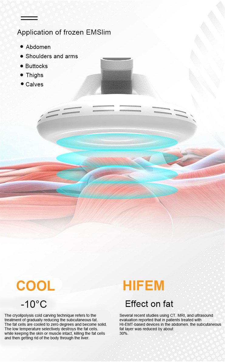 2 In 1 HIEMTCryolipolysis Innovative Machine for Hot Sale Four Handles 360 degree Cooling Electromagnetic Muscle Gain S
