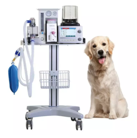 2022 Updated New Model Dm6B Veterinary Anesthesia