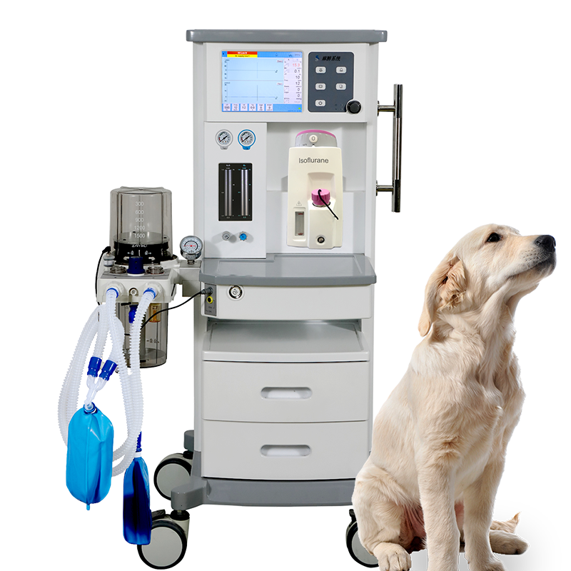 DM6A Veterinary Surgical Gas Anesthesia Machine