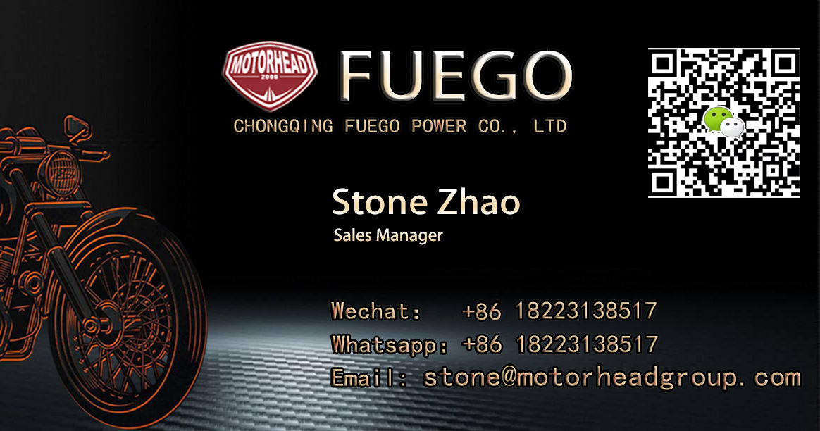FUEGO SCRAMBLER250CHINA 250CC 300CC MOTORCYCLE CHEAP for SALE