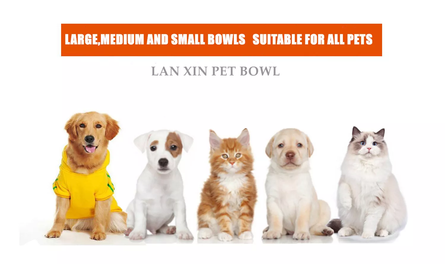 Manufacturer Wholesale 270ml Biodegradable Bamboo Dog Water Bowl Stainless Steel Pet Food Cat Bowl