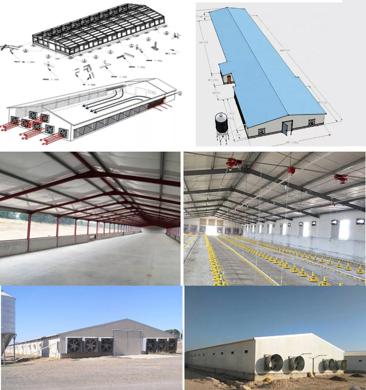 Poultry farm building construction light gauge steel structures fabricator