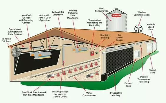 Poultry farm building construction light gauge steel structures fabricator