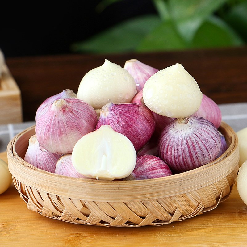 2022 best quality mexico garlic in low price cebolla china best fresh garlic supplier ajo