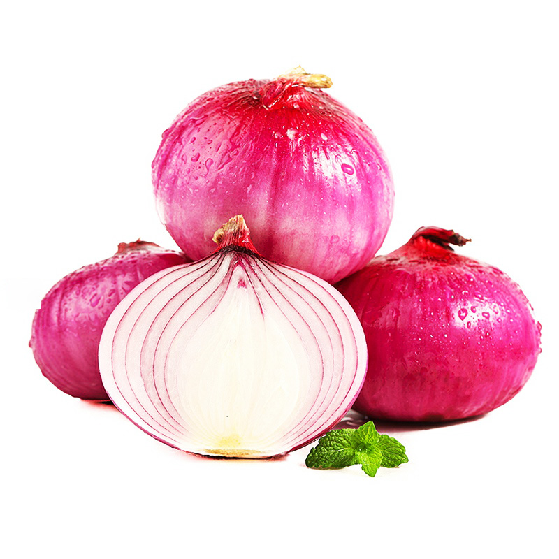 Best price and quality yellow and red onion wholesale China supplier