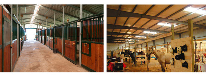 Shawnzhao horse house model design