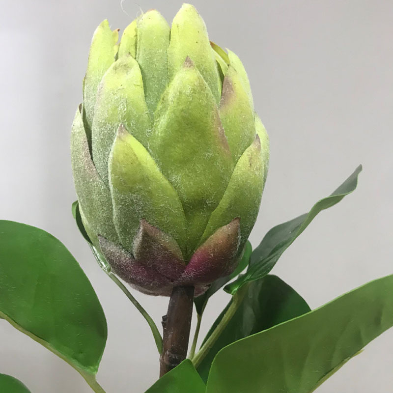 Supplying High Quality Artificial Green King Protea
