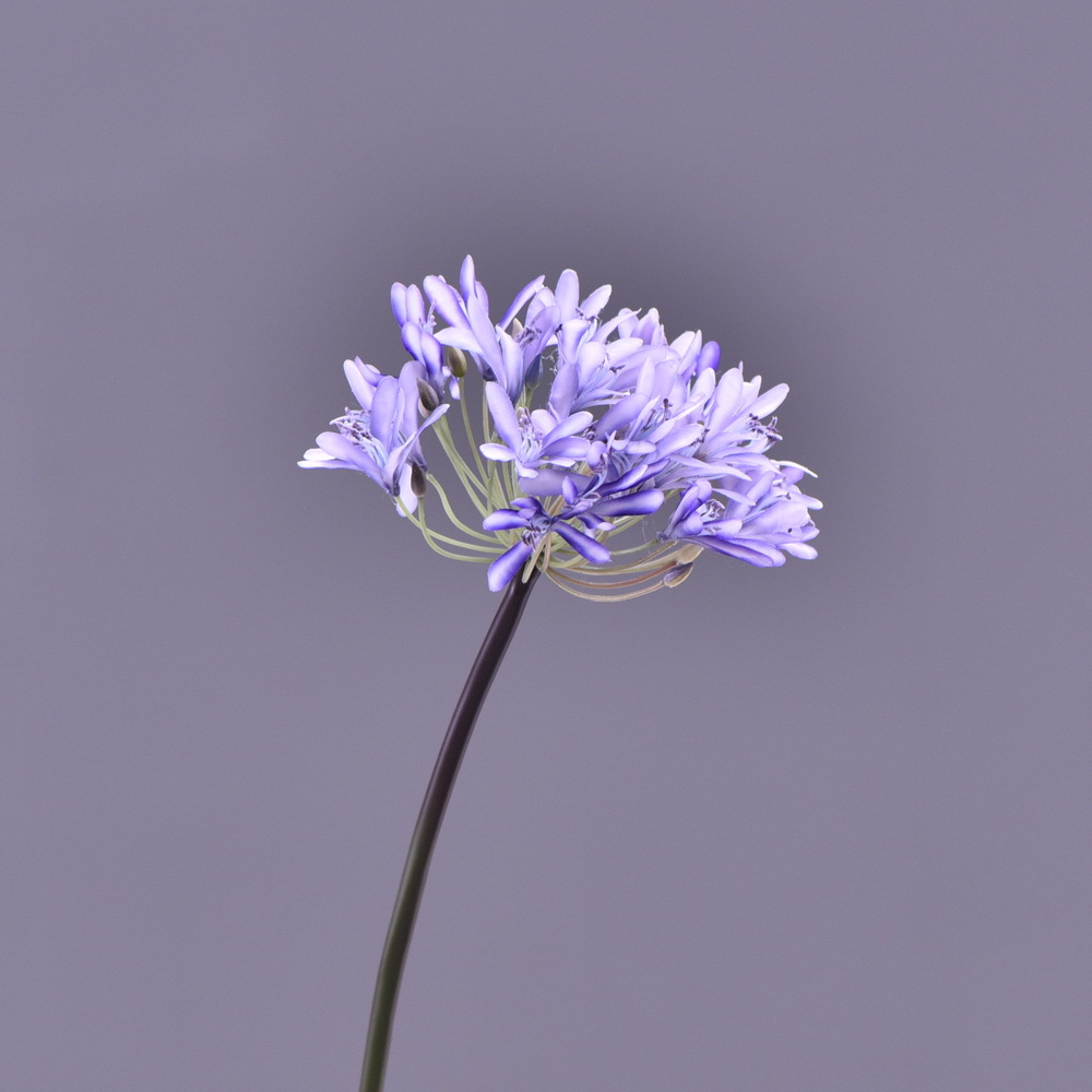 Wholesale Silk Agapanthus Flower for Wedding Events Decor