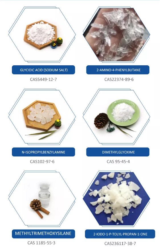 BMK Factory Supply Glycidic Acid sodium salt cas 5449127 with Wholesale Price