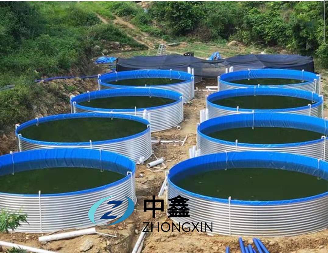 GALVANIZED SHEET PVC CANVAS POOL FOR AQUACULTURE