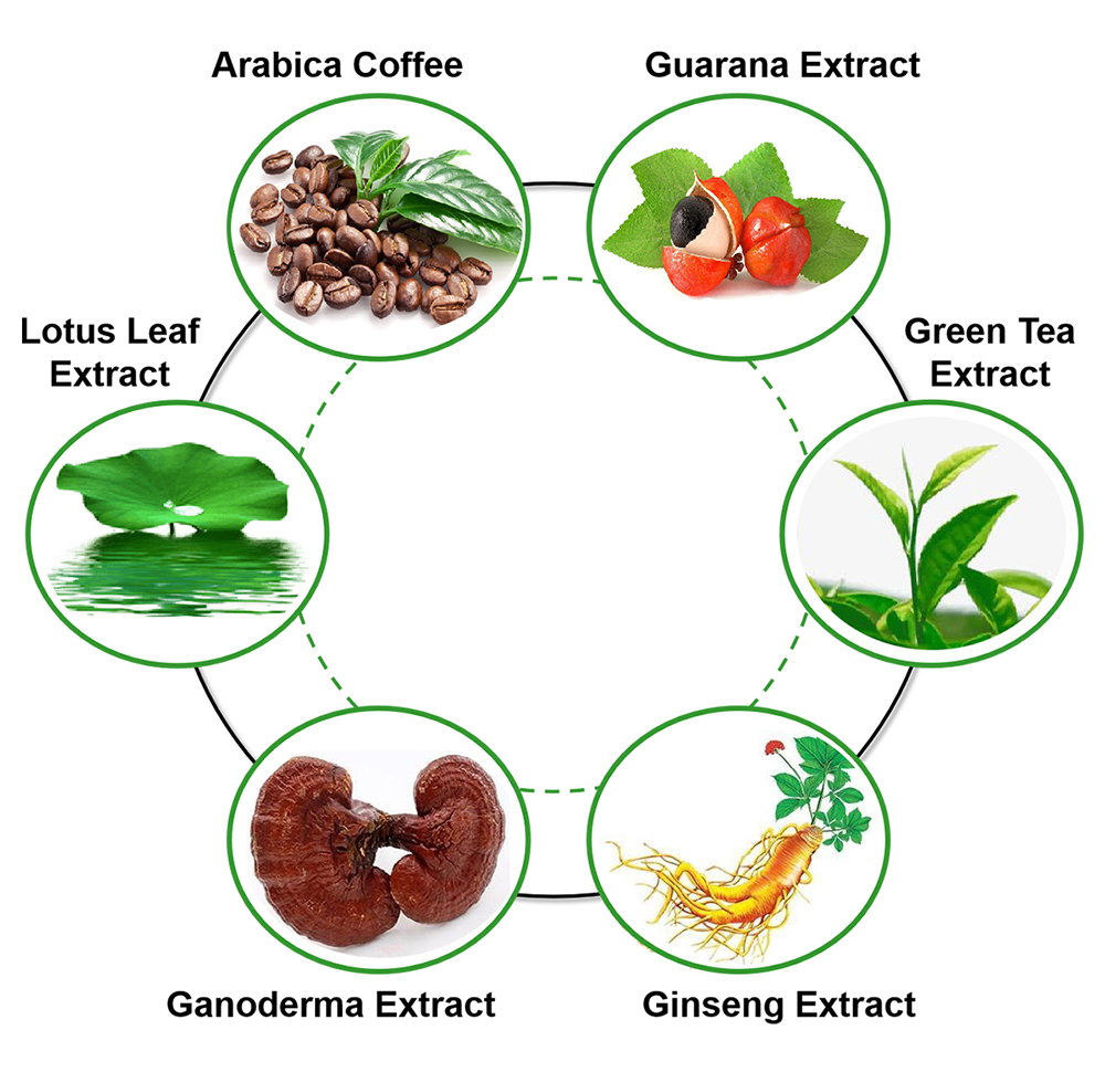 Wholesale Cheap Price Fat Burning Appetite Suppress Metabolism Boost Slimming Coffee for Weight Loss