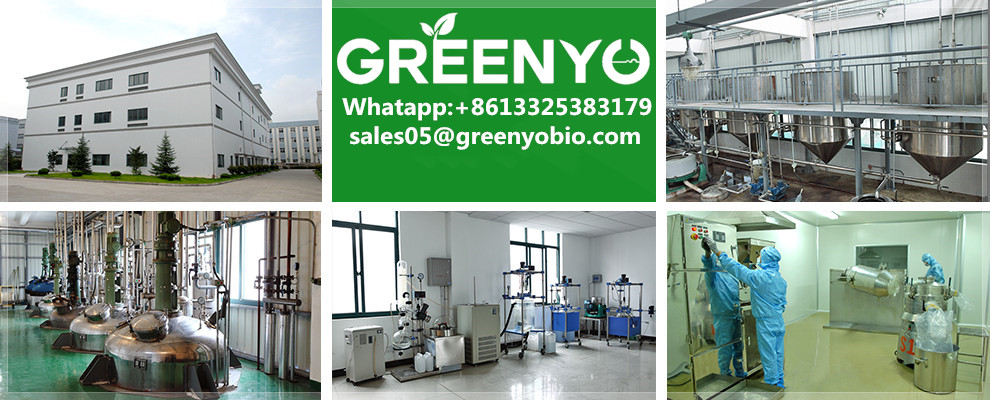 High purity tianeptine sodium salt 99 tianeptine sodium powder CAS NO30123172