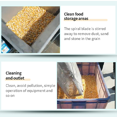 Grain cleaning machine Cereal cleaner Bean cleaning machine Grain washer