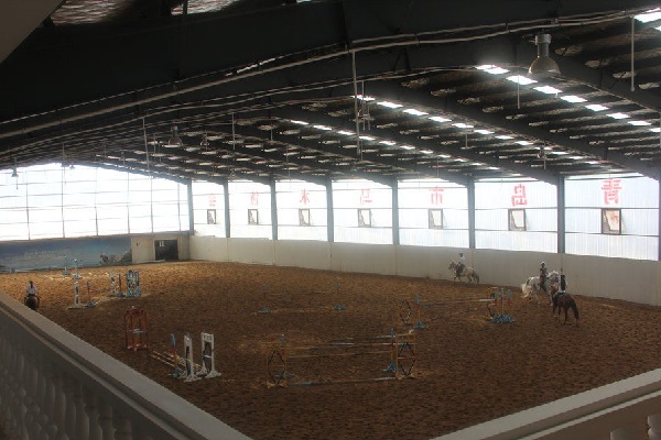 equestrian arena horses barns and arenas horse stable stalls