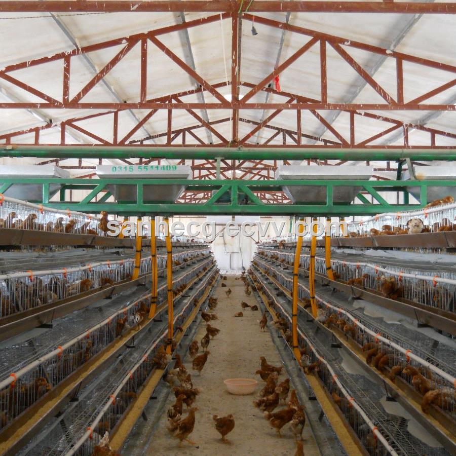 Prefabricated Light Steel Structure Commercial Chicken Sheds / POULTRY BUILDINGS / Hen Shed