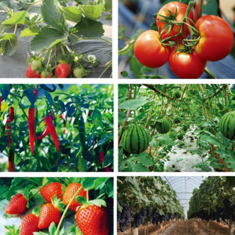 Agricultural degradable film black weeding film thermal insulation moisturizing film wholesale Agricultural degradable film black weeding film thermal insulation moisturizing film wholesale