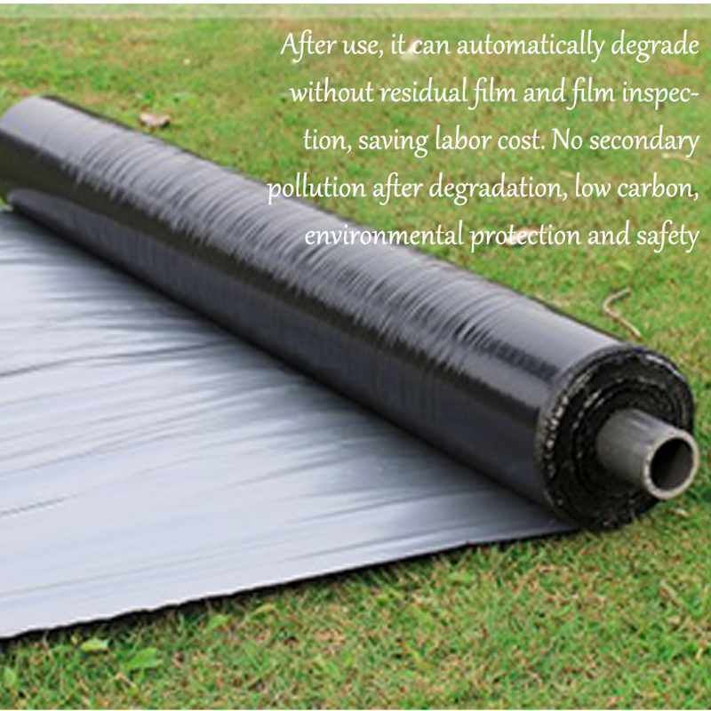 Agricultural degradable film black weeding film thermal insulation moisturizing film wholesale Agricultural degradable film black weeding film thermal insulation moisturizing film wholesale