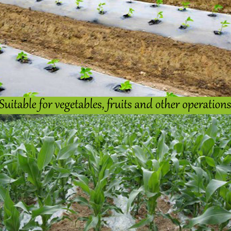 Support agricultural degradable film white weeding film thermal insulation moisturizing film wholesale Price consultati