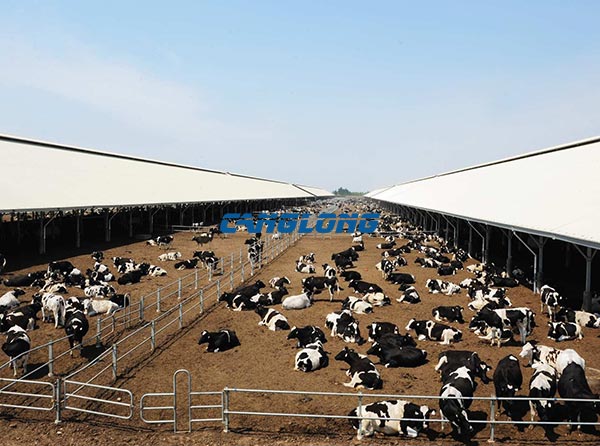 Low price standard steel structure cowshed building Hot dip galvanized metal cattle house