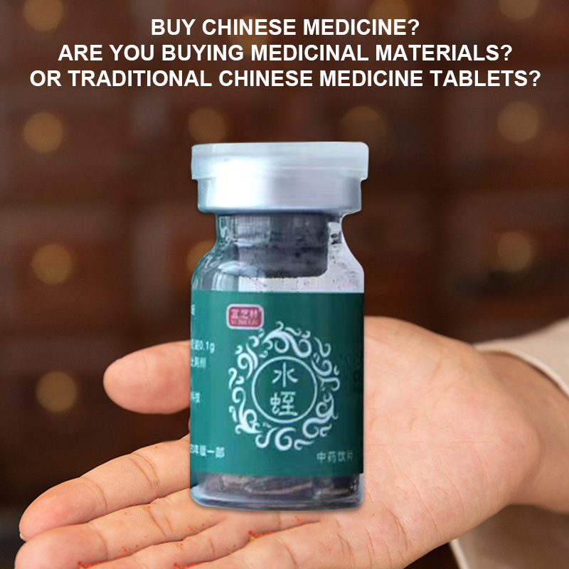 Chinese medicinal leech decoction pieces