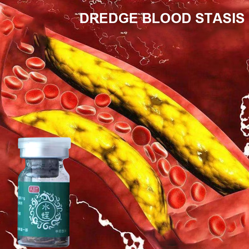 Chinese medicinal leech decoction pieces