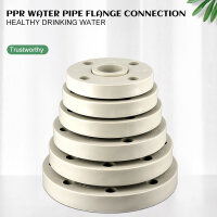 PPR flange connector flange pipe chemical pipe fittings flange flange connector S32 contact email