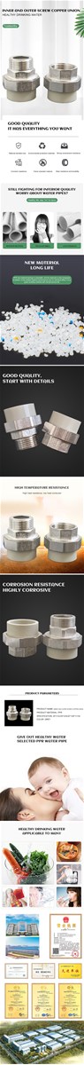 PPR Inner and outer screw copper union for healthy drinking water contact email