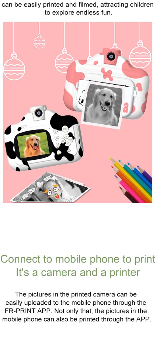 Dairy printing camera 500 wholesale