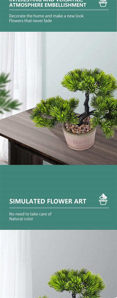 Bonsai Pine tree Indoor and outdoor decorations