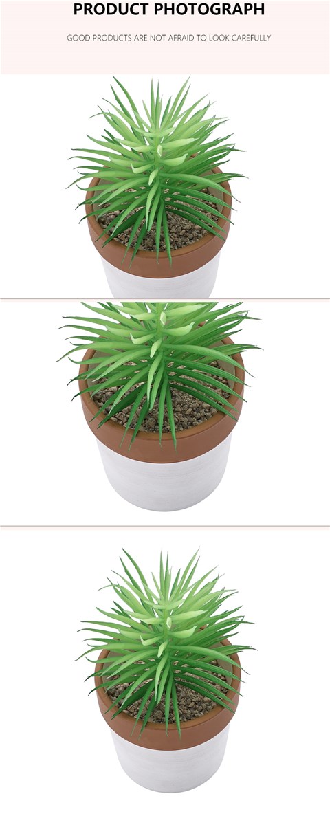 Artificial flower4 horticultural plastic simulation flowers