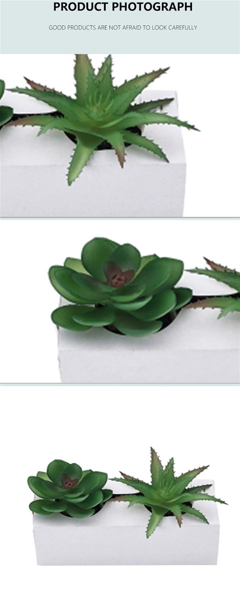 Mini Artificial flower1 Horticultural plastic simulation flower