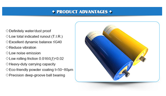 China Custom Belt Conveyor Wing Roller with DINCemaJISASGBT10595ISO Standards