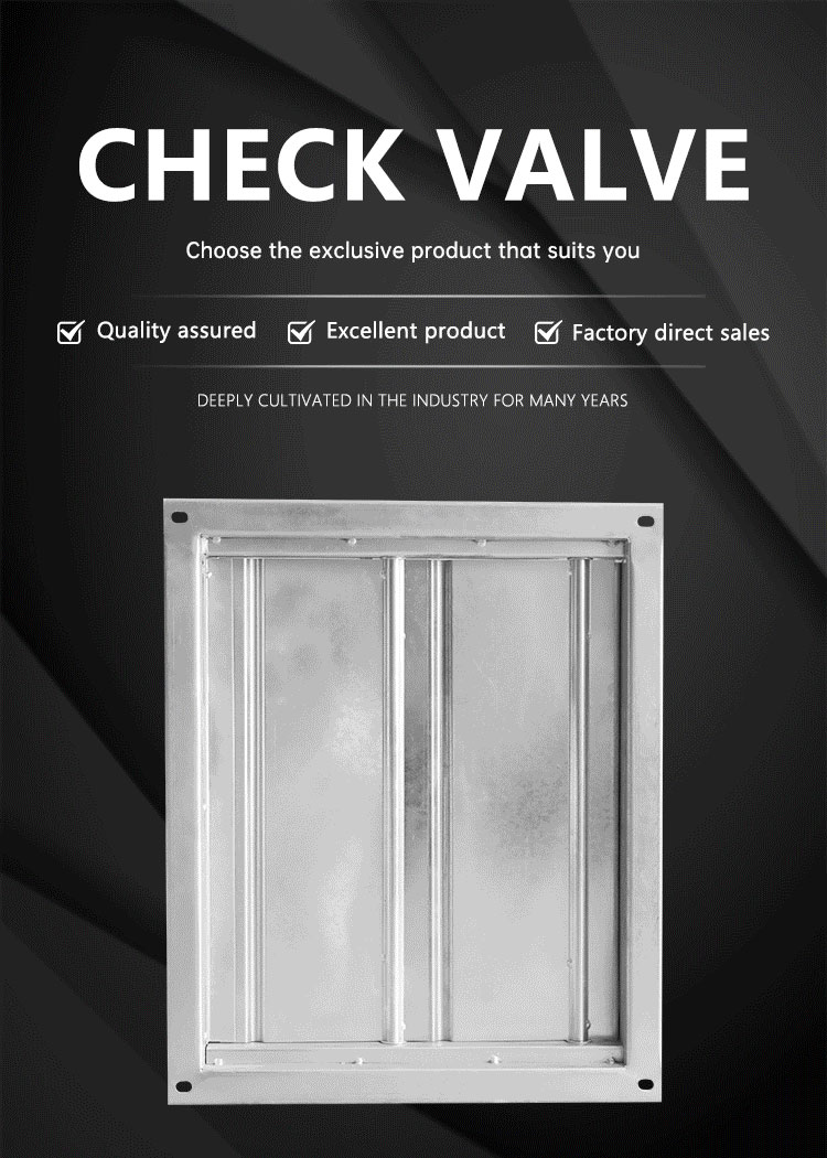 Check valve made in China support customization