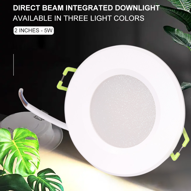 1Direct integrated downlight 2 inch 5W