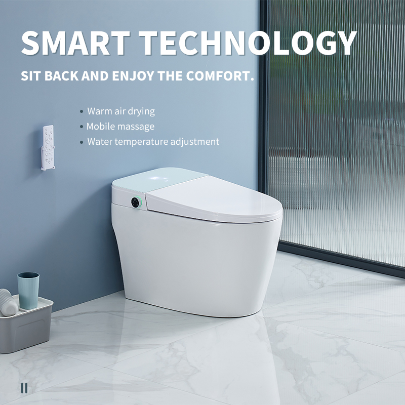 Multifunctional intelligent toilet with warm air drying mobile massage water temperature adjustment and air temperatur