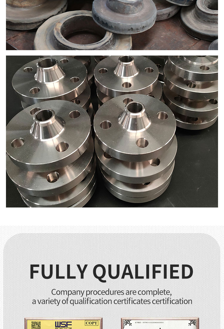 TigerTi Small WN Necked Butt Weld Flange RJRing Connection Sealing Surface Support Customization