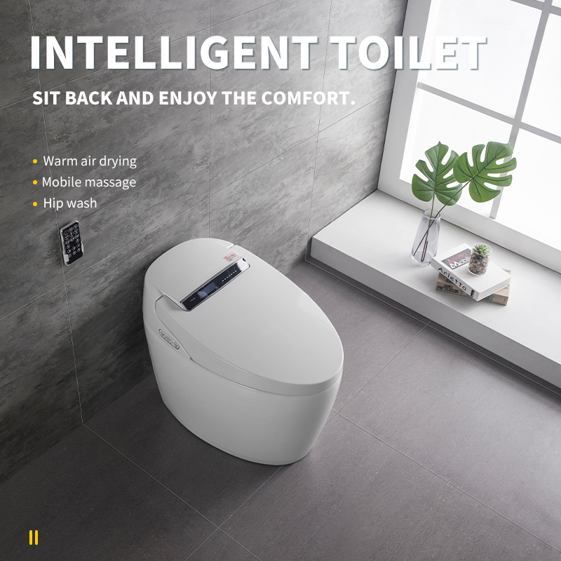 Antimicrobial material selfcleaning nozzle and toilet function of household intelligent toilet