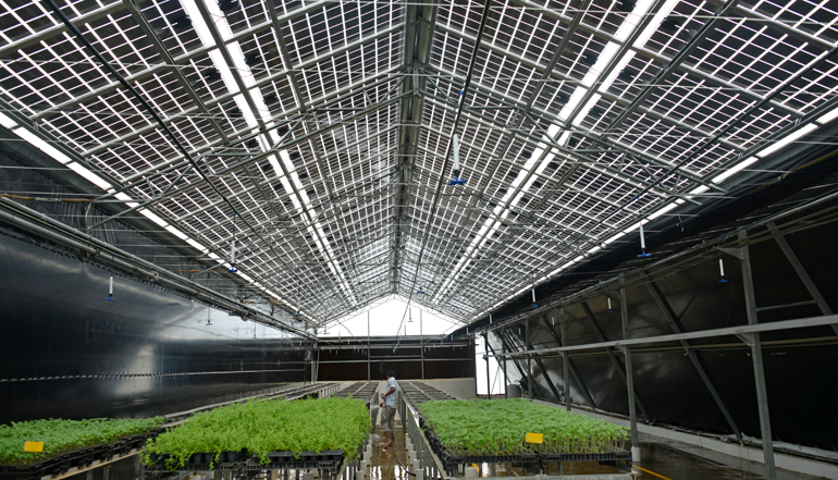 Clear Patterned Tempered Solar Panel Arc Photovoltaic BIPV Glass