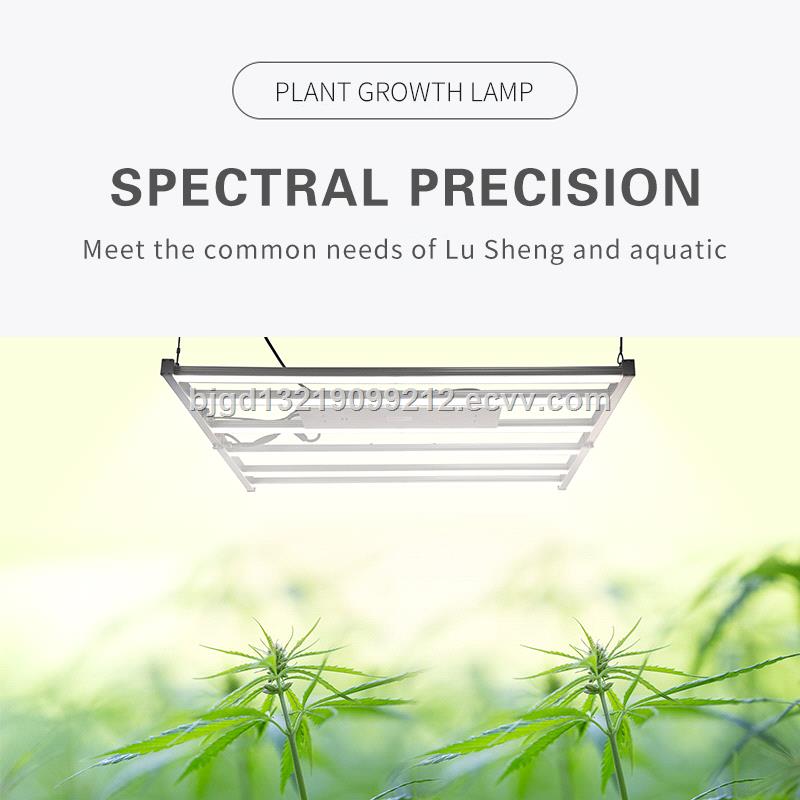 Led Plant Growth Light red and white spectrum floral fleshy fill light species 2736 beads