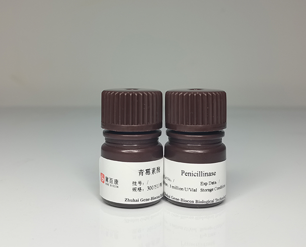 Penicillinase Zhuhai GeneBiocon Biological Technology