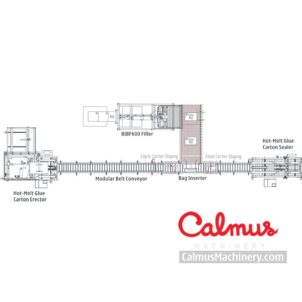 Fullyautomatic Bag in Box Filling Packaging Line