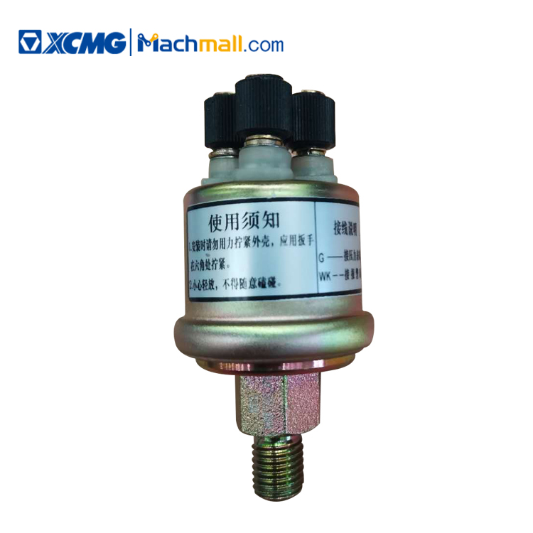 XCMG Official Crane Spare Parts Barometric Pressure Sensor 38XZ30K435010803546239