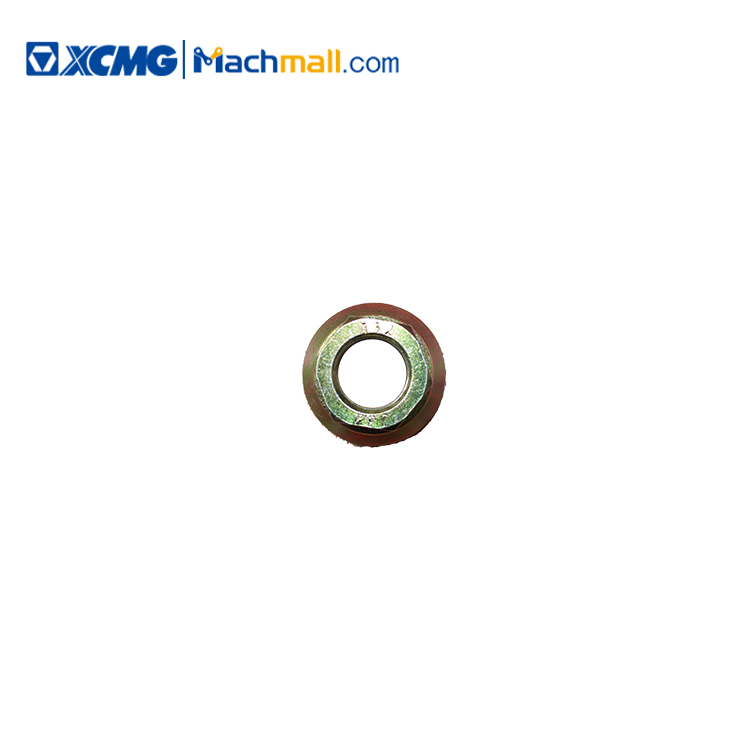 XCMG Official Crane Spare Parts 51017001 Rim Nut M2215 Class 10800341023