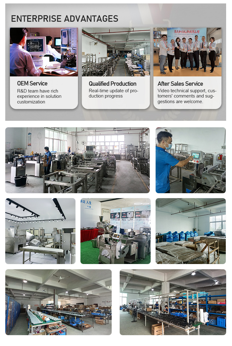 Industrial Automatic Bonelss Pork Chicken Duck Poultry Beef Meat Fish Block Cutter Cutting Machine