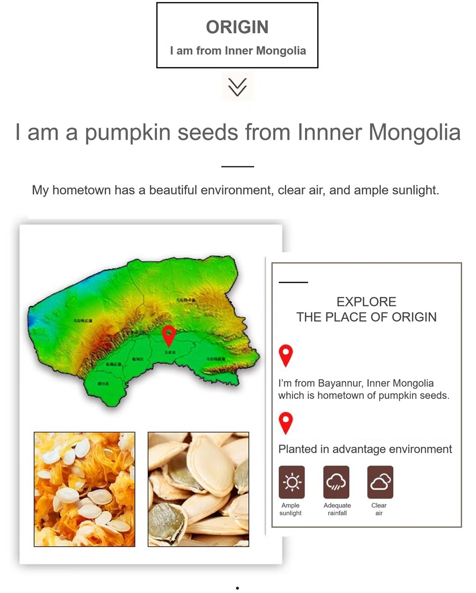 Roasted pumpkin seeds salted flavor factory price