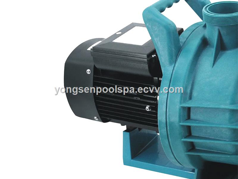 China High Speed 2 Powerful Water Circulation Large Steel Pump Swimming Pool Pump