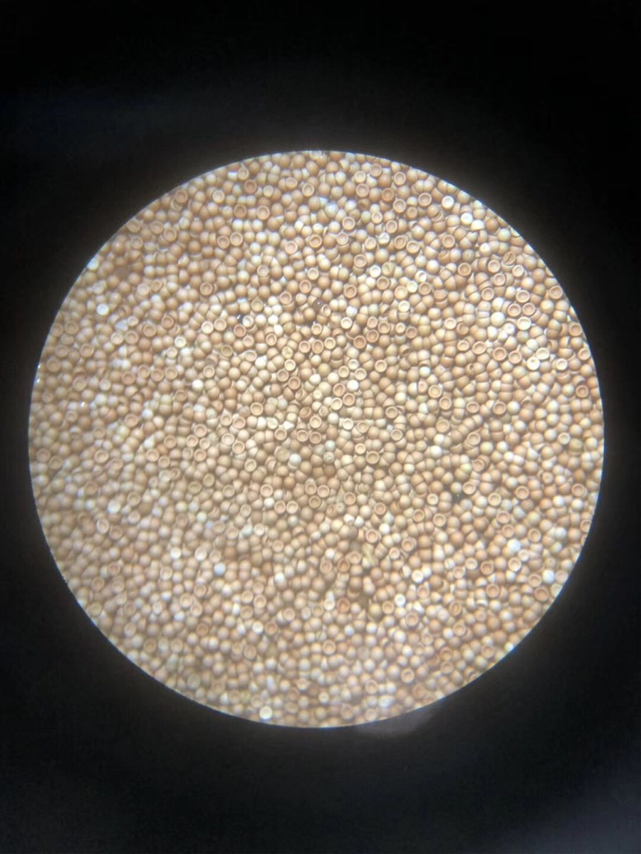 Offer artemia cystsbrine shrimp eggs