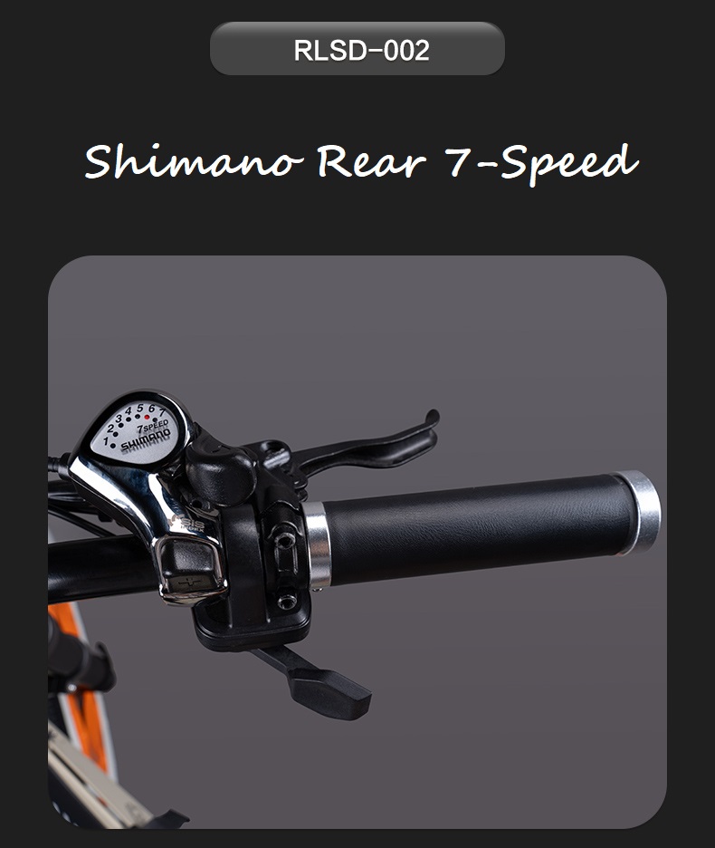 Good Selling 48V750W motor 7 speed electric bicycle with Disc Brake